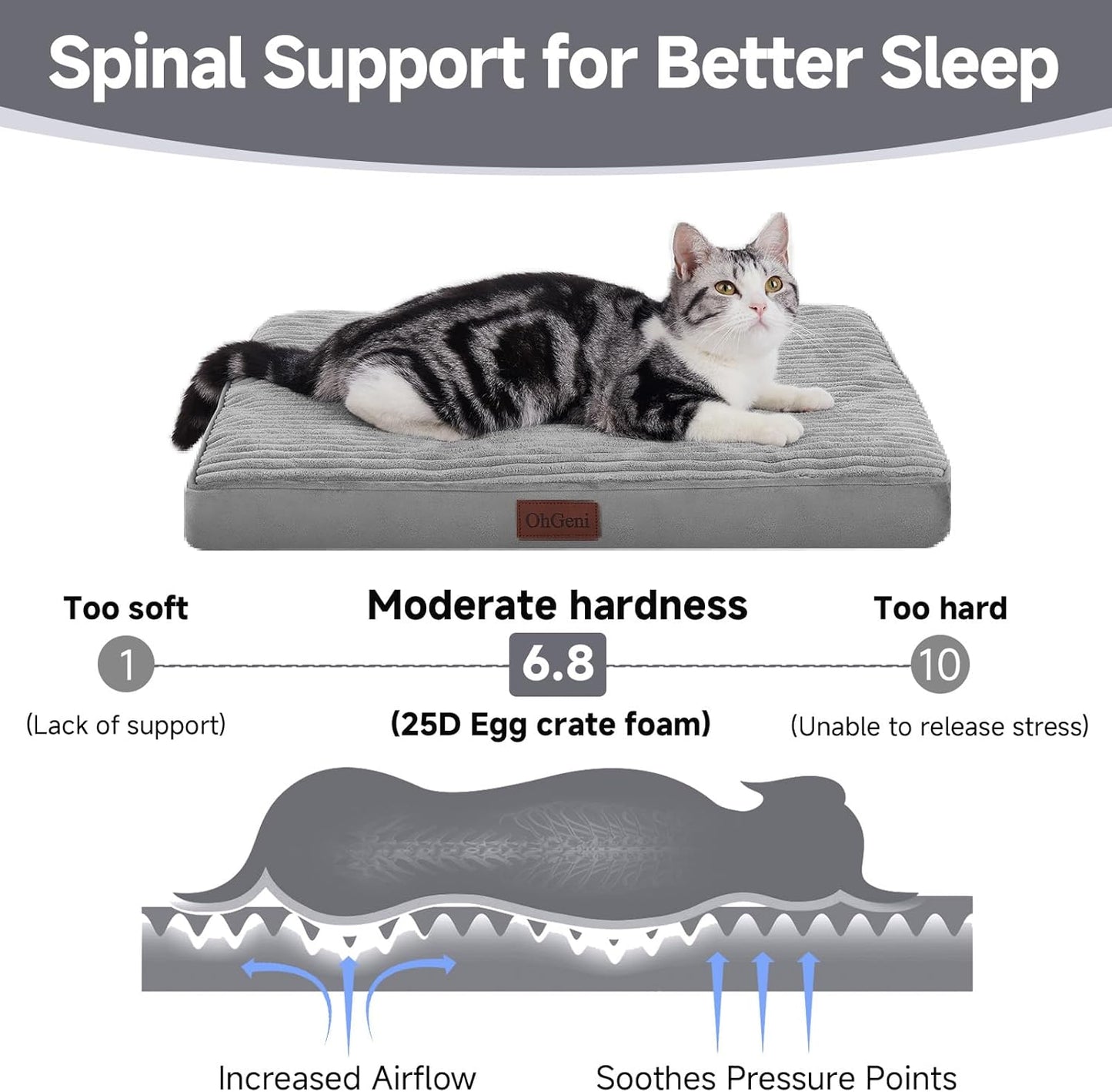 OhGeni Orthopedic Waterproof & Machine Washable Dog Bed for Small Pets, Suitable for Crates, Cat Mat with 25D Egg Crate Foam, Non-Slip Bottom & Removable Cover, Invisible Zipper, 24 Inches(Gray)