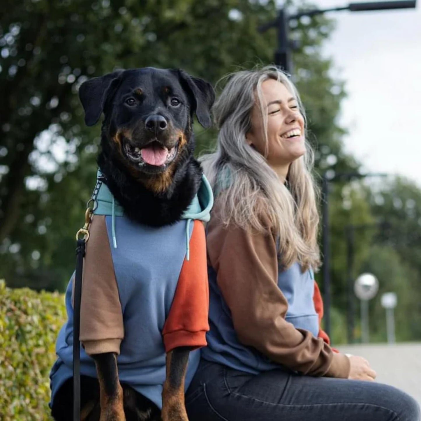 Spark Paws Dog Hoodie – Premium Dog Sweater for Small, Medium, and Large Dogs | Warm Outfits for French Bulldogs, Pitbull, Puppy, Winter Jacket Alternative - Alpine - S