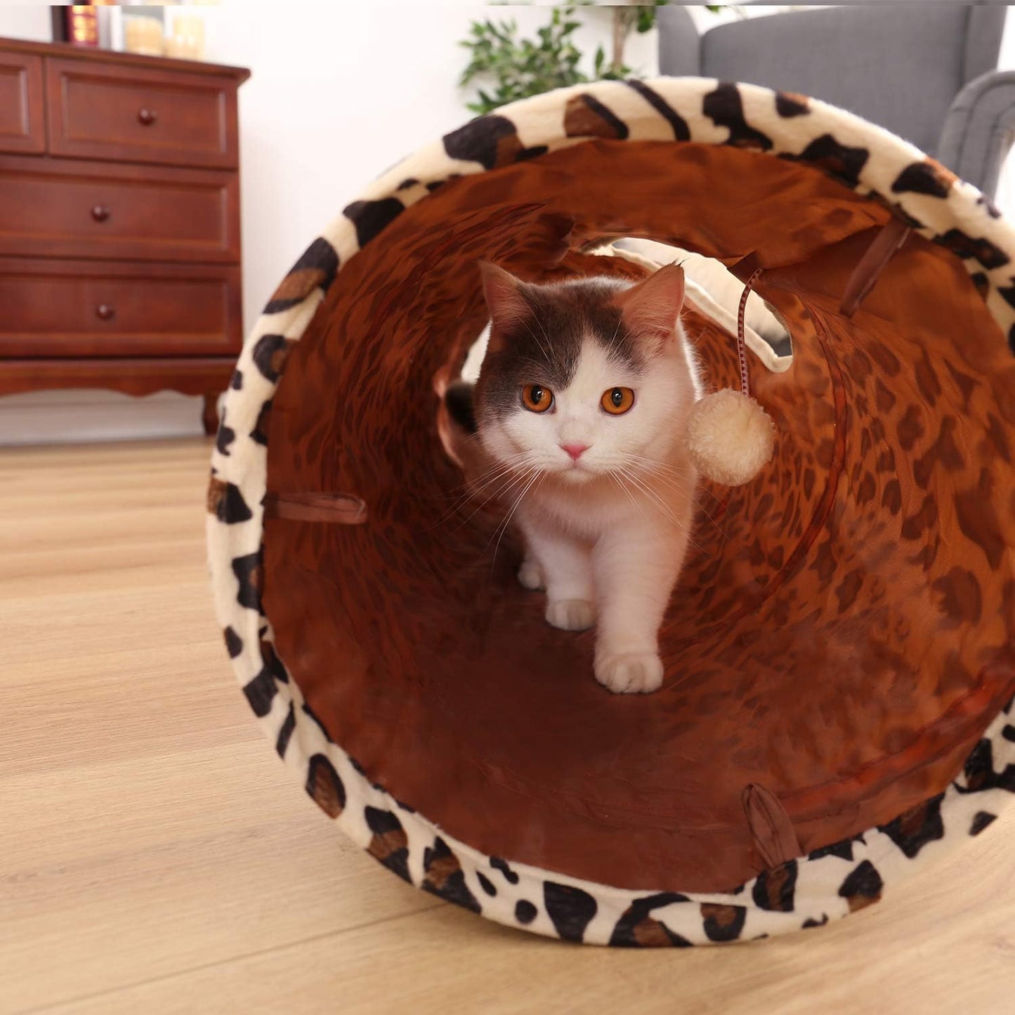 PAWZ Road XL Collapsible Cat Tunnel for Fat Cats & Rabbits - 51"x12" Extra Wide Pet Play Tunnel with 12-Inch Diameter for Large Cats, Small Dogs