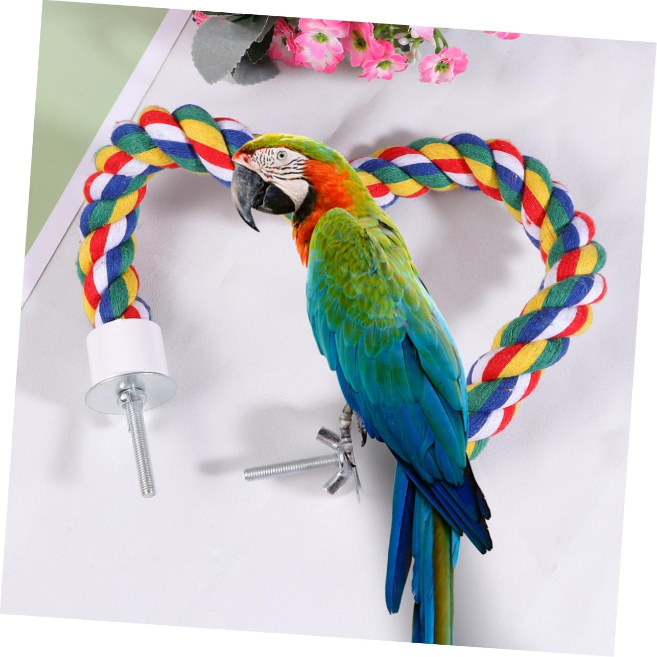 iplusmile Colorful Bird Rope Perch Stand, Birdcage Swing Spiral Chew Toys Climbing Standing Bungee Rope Perches Cage Accessories for Cockatiels Parrots (80CM/31.4 inch)