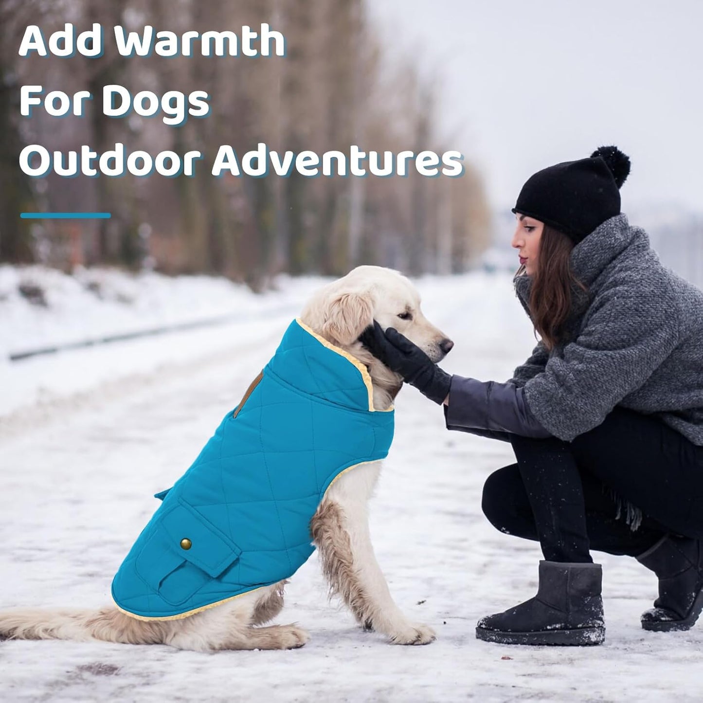 Queenmore Dog Winter Coat Warm Puffer Jacket Waterproof Plush Lining Thermal Cold Weather Vest for Small Medium Large Dogs, Windproof Easy On Pet Jacket Blue XL