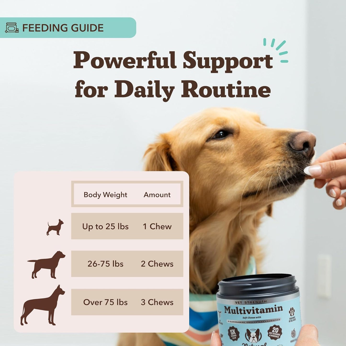 Natural Dog Company Vet Strength Multivitamin for Dogs – 90 High-Potency Soft Chews with Glucosamine, Chondroitin, Probiotics & Omegas – Supports Joints, Skin, Coat, Digestion, Immune & Heart Health