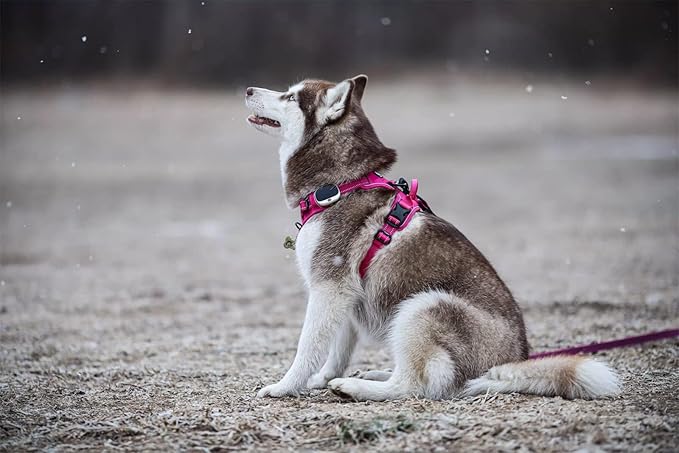 TRUE LOVE Truelove Adjustable No-Pull Dog Harness Reflective Pup Vest Harnesses Comfortable Control Brilliant Colors TLH5651(Fushcia,S)