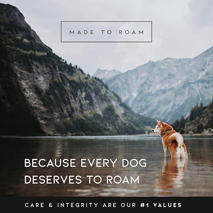 MADE TO ROAM Premium Explorer Harness - Y-Shaped Dog Harness with Adjustable Durable Nylon, Soft Padding, Metal Buckles and Leather Handle for Small, Medium, Large Dogs (Vermont Weekends, Size 5)