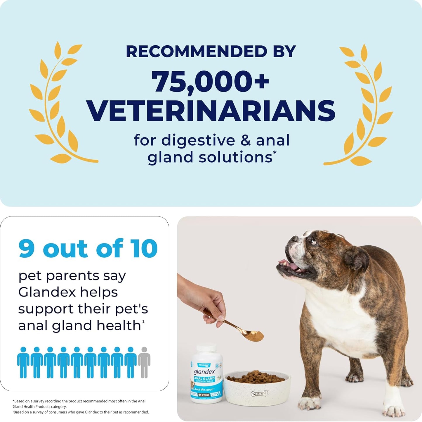 Vetnique Labs Glandex Dog Fiber Supplement Powder for Anal Glands with Pumpkin, Digestive Enzymes & Dog Probiotics for Digestive Health - Vet Recommended - Boot The Scoot (Pork Liver, 2.5oz Powder)