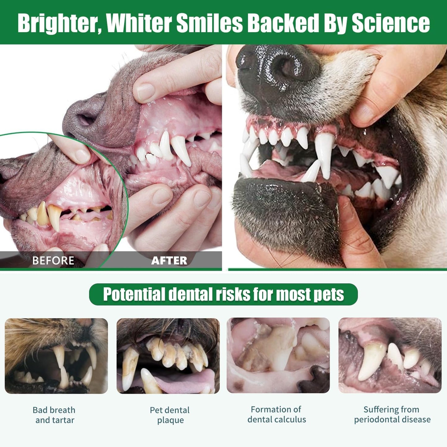 Dog Dental Powder - Dog Teeth Cleaning Powder,Pet Breath Freshener for Teeth Cleaning,Tartar Remover & Reduces Plaque & Bad Breath,Dental Care Supplies for Dogs Cat-Beef Flavor 50g