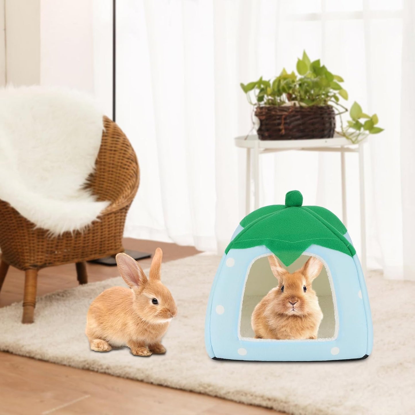 BWOGUE Guinea Pig House Bed Cozy Hamster Cave Large Hideout for Dwarf Rabbits Hedgehog Bearded Dragon Winter Nest Hamster Cage Accessories