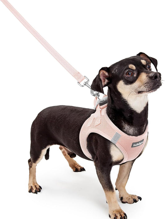 rabbitgoo Dog Harness Small Sized and Leash Set, Step in Soft Light Puppy Vest, Breathable Mesh Pet Harness, Reflective for Outdoor Safe Walking, Pink XXXS
