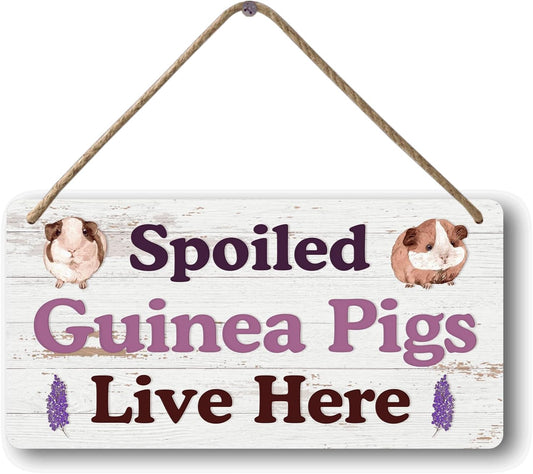 Big Hamster Ball & Guinea Pig Hideout - Stuffed Animals & Accessories for Guinea Pig Cage - 12x6 In Wooden Sign