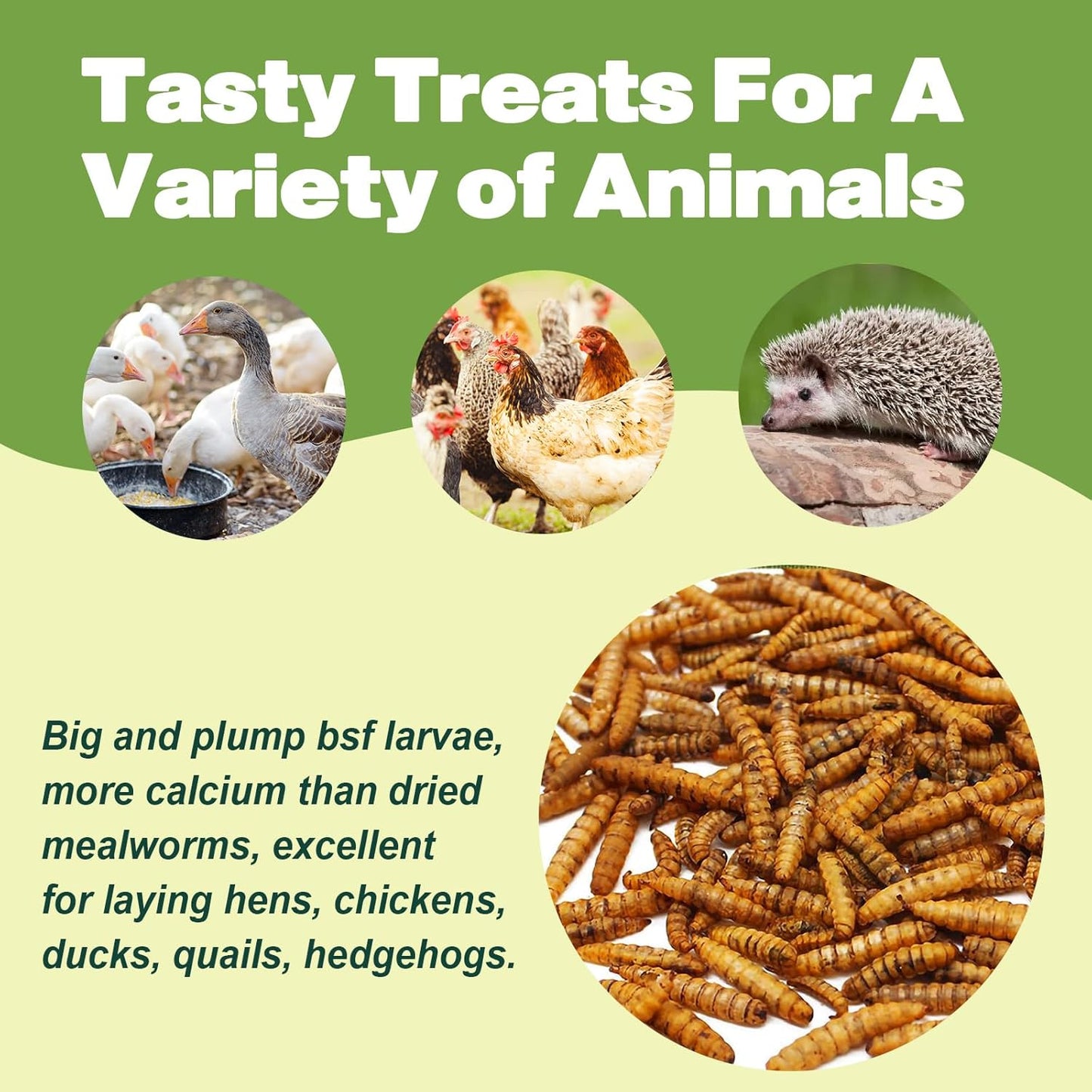 22LB Dried Black Soldier Fly Larvae, 2 Pack of 11 LBS, 86X Calcium Than Dried Mealworms, High Protein Non-GMO Organic Chicken Feed