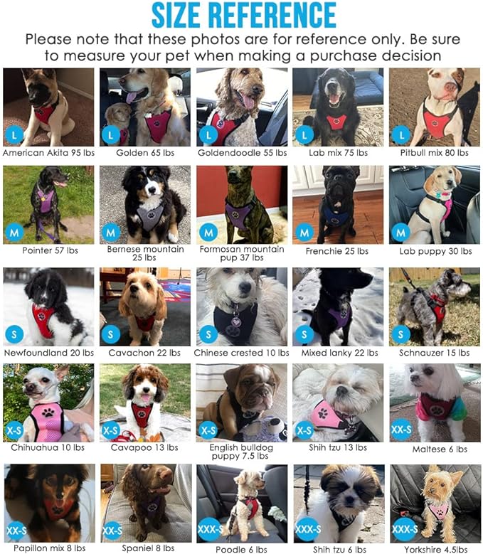 Lukovee Dog Seat Belt for Car, Adjustable Dog Car Harness for Large Medium Small Dogs, Soft Padded & Breathable Mesh Dog Seatbelt with Car Strap and Carabiner(Pink Double Clip,XXX-Small)