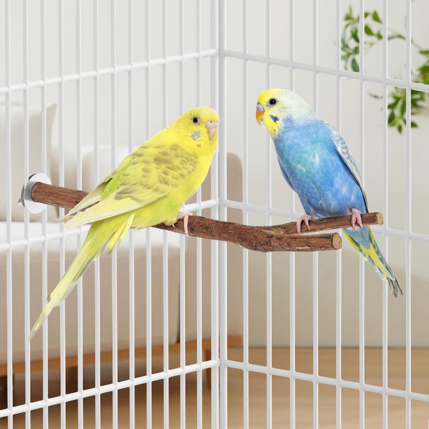 Niteangel Natural Wooden Perches for Bird Cages - Ideal for Cockatiels, Parakeets, Finches & Other Caged Birds (No-Bark, 2 Pack)