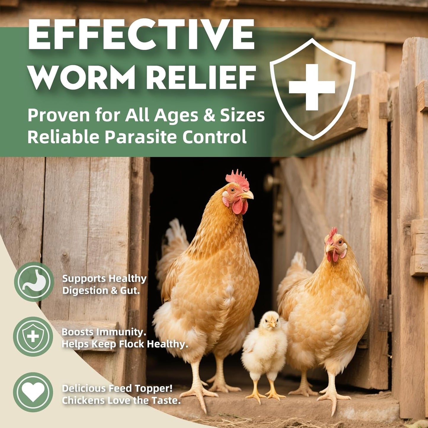 Chicken Dewormer Powder, All-Natural Health Formula, 1LB Pouch,Safe for Eggs, Effective for All Ages & Sizes, Chicken Wormer, Poultry Medicine Supplies (1, Pounds)