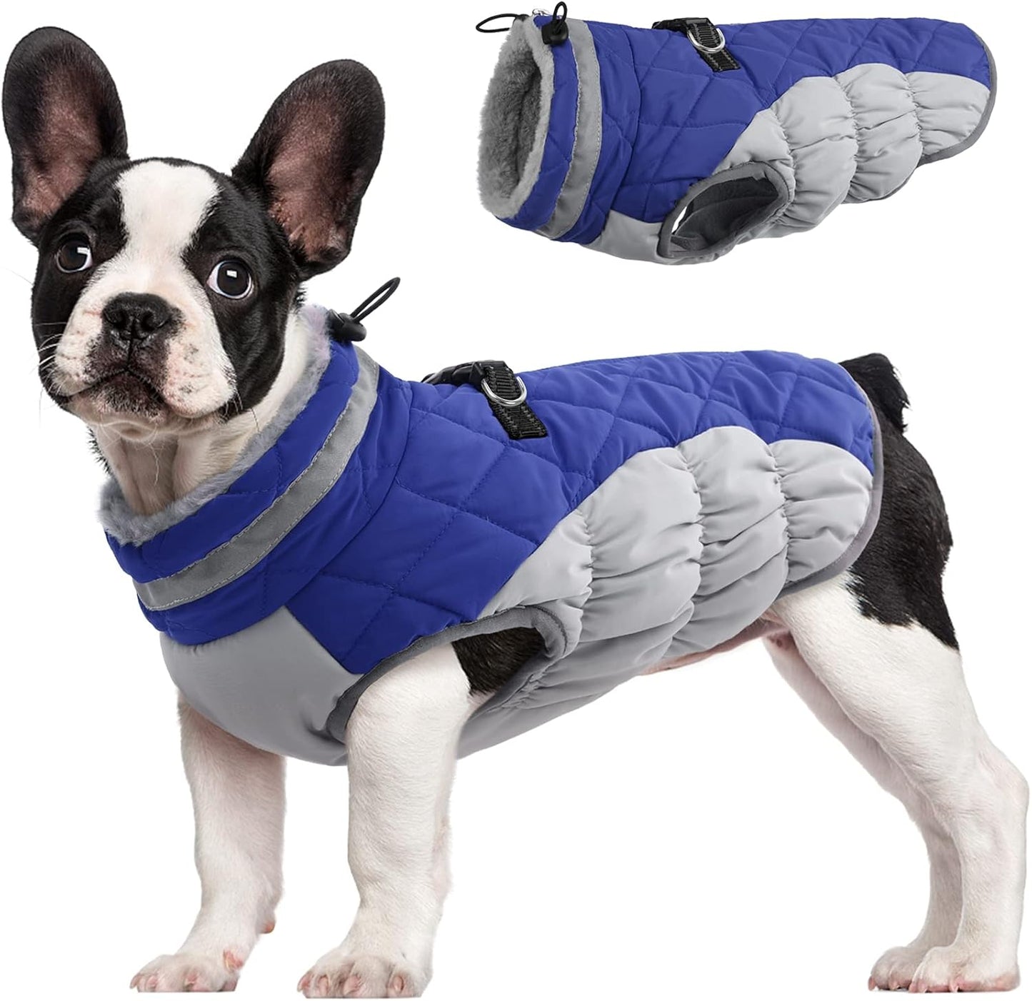 FUAMEY Dog Coat for Medium Dogs,Waterproof Dog Winter Jacket with Harness Built in Puppy Cold Weather Coats Reflective Pet Vest with Zipper Warm Fleece Dogs Snowsuit Windproof Blue M