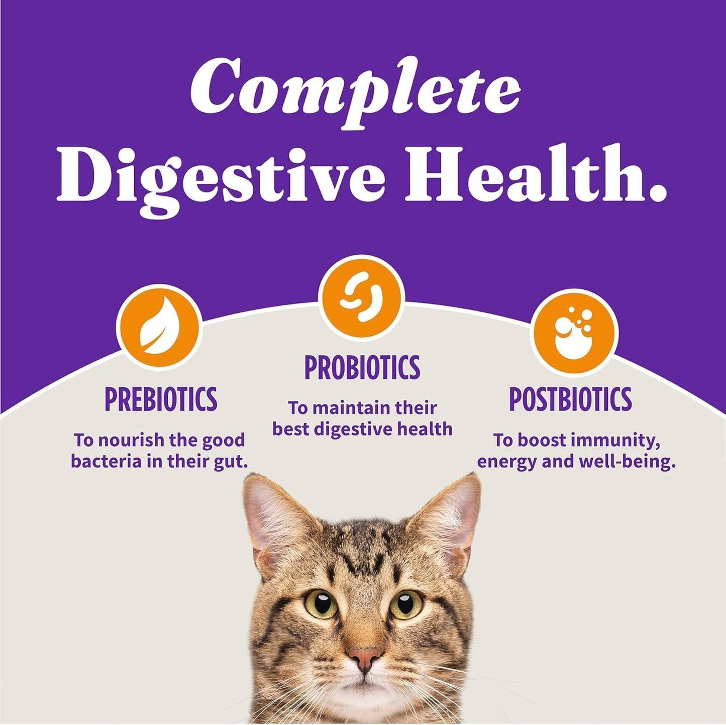 Halo Holistic Cage Free Chicken Cat Food, Healthy Grains Dry Cat Food, Complete Digestive Health, Kibble for Adult Cats, 3 lb Bag