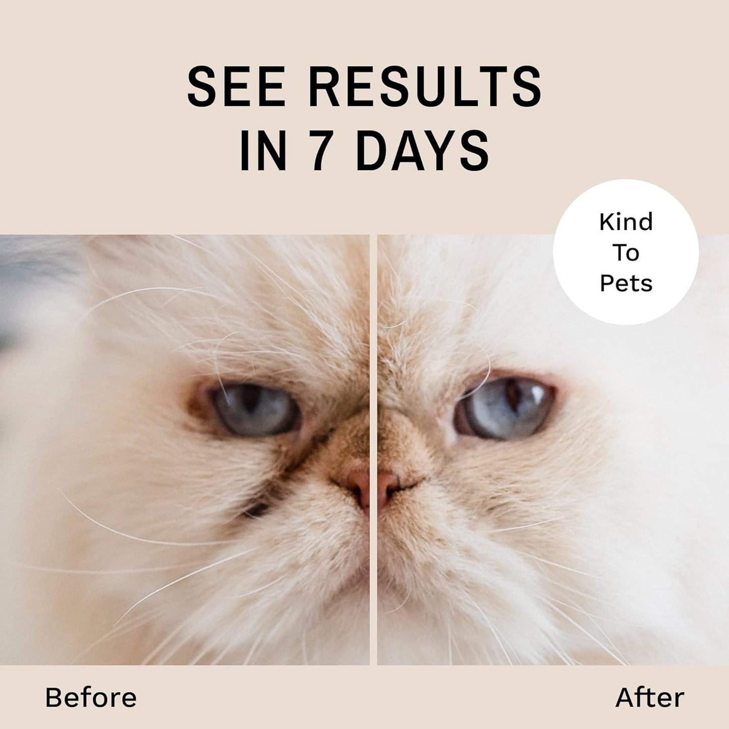 Eye Envy Tear Stain Remover Powder for Dogs and Cats. 100% Natural, Safe. Apply Around Eyes. Absorbs and Repels Tears. Keeps Area Dry. Treats The Cause of Staining. Made in The USA (2.5 oz)