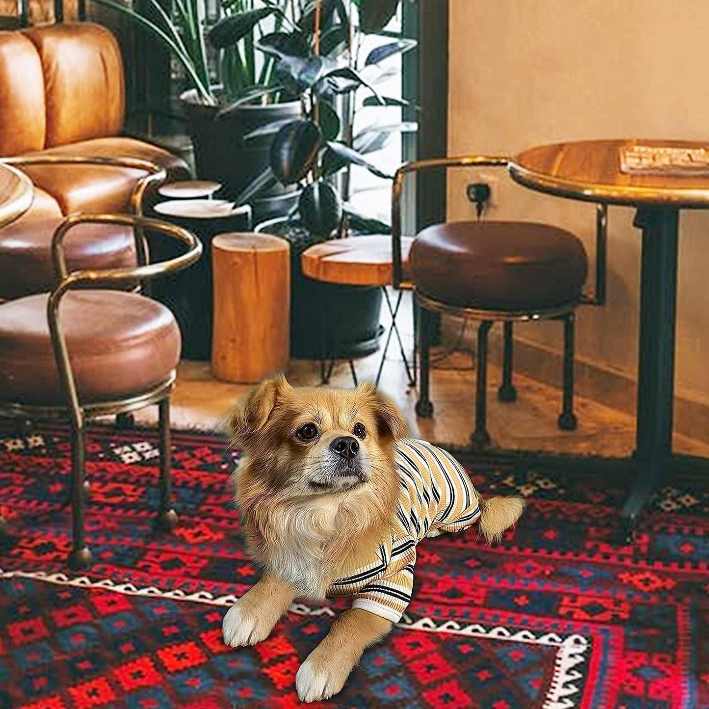 TONY HOBY Male Dog Pajamas, 4 Legged Dog Jumpsuit with Brown Stripe, Dogs Shirt for Small Medium Dogs (Brown, Boy, XS)