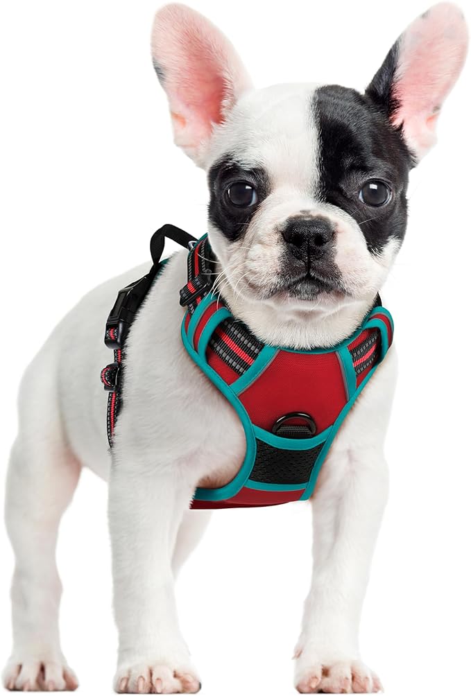 rabbitgoo Dog Harness No Pull with 2 Leash Clips, Adjustable Soft Padded, Reflective Oxford No Choke Pet Vest with Easy Control Handle for Small Dogs, Red & Teal, S