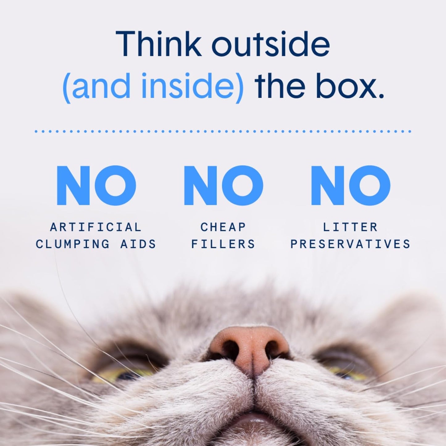 Boxie® Extra Strength Cat Litter, Lightweight 35-Day Odor Control, Clumping, 6.5lb