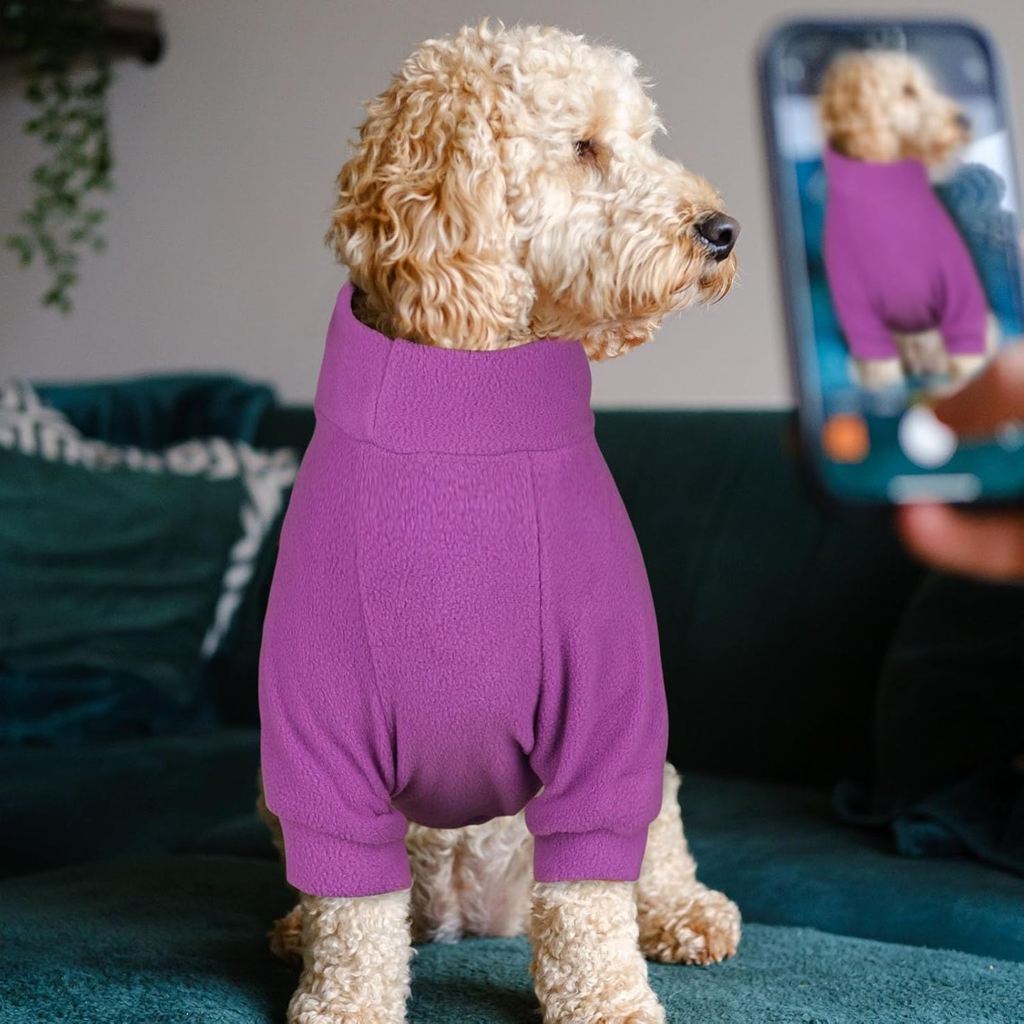 3 Pack Dog Sweaters for Small Dogs, Fleece Dog Sweater Pet Clothes Turtleneck Soft Warm Sweatshirt Puppy Sweater Boy Girl Pet(Pink+Hotpink+Purple,S)