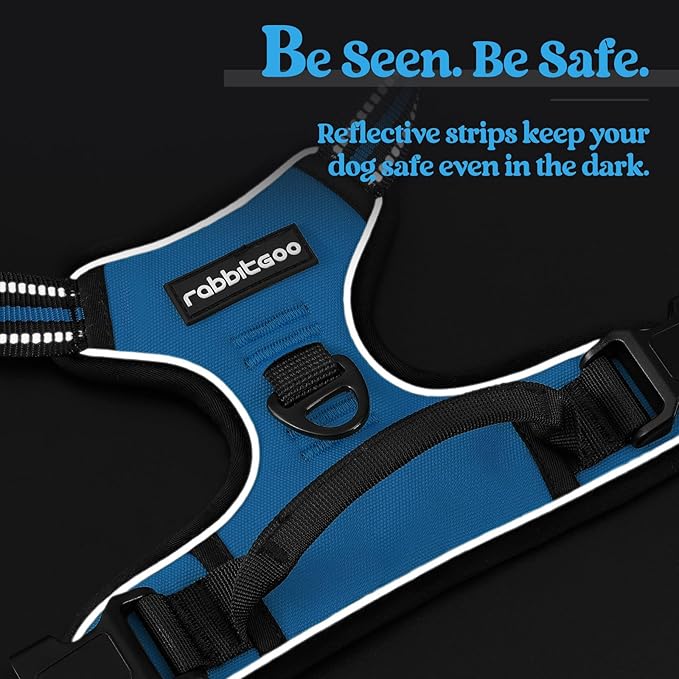 rabbitgoo Dog Harness No Pull with 2 Leash Clips, Adjustable Soft Padded, Reflective Oxford No Choke Pet Vest with Easy Control Handle for Small Dogs, Blue, S