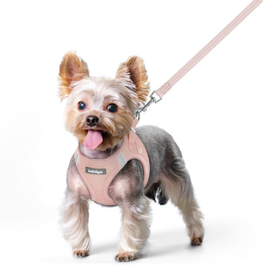rabbitgoo Dog Harness Small Sized and Leash Set, Step in Soft Light Puppy Vest, Breathable Mesh Pet Harness, Reflective for Safe Outdoor Walking, Pink XS