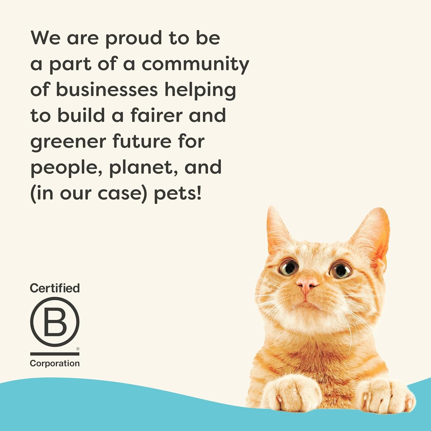 Applaws Vitality Wet Cat Food Paté, Natural Canned Cat Food, Wet Food for Cats with Added Vitamins and Minerals, Grain Free, Carrageenan Free, Tuna Fillet (24 Count, 5.5oz Cans)