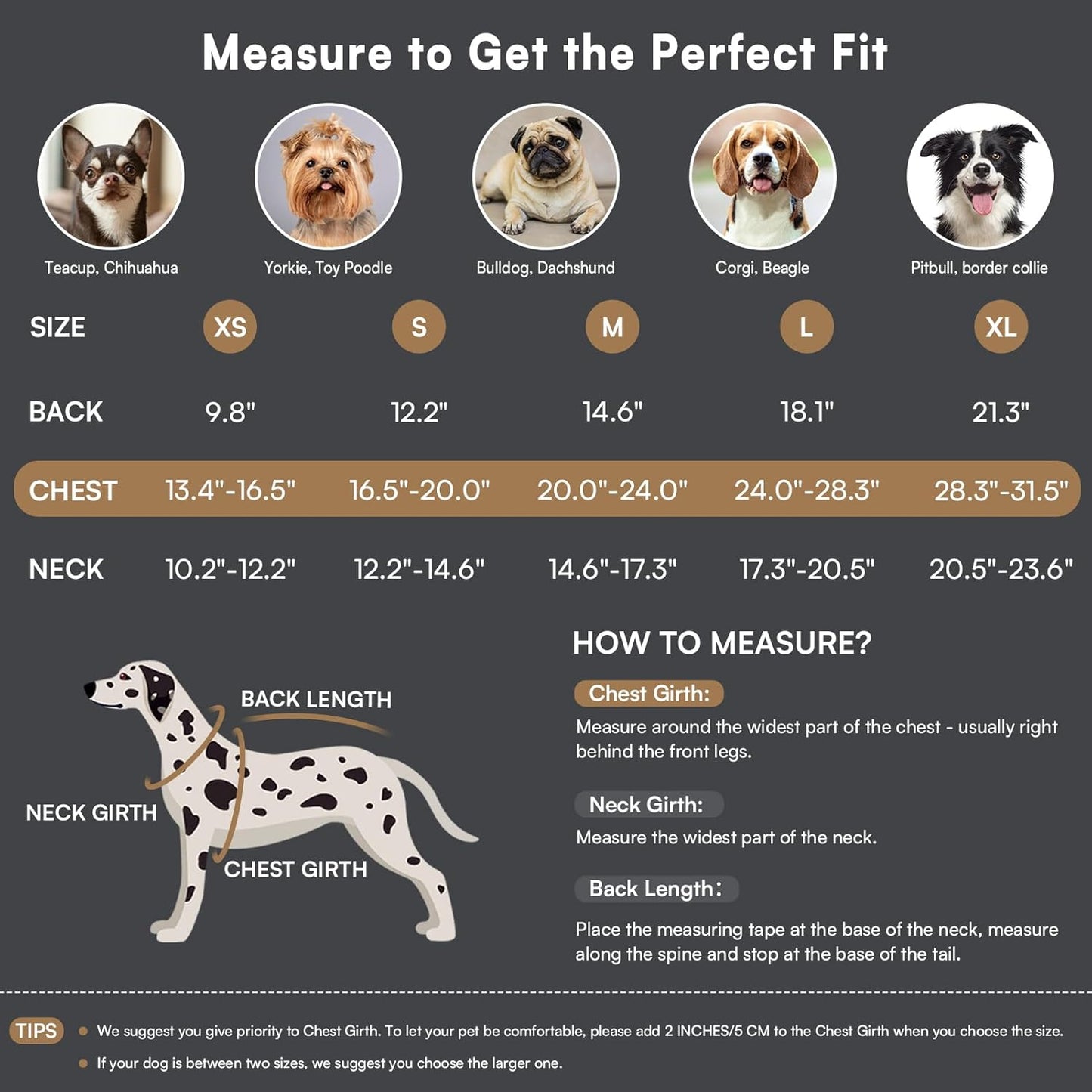 Queenmore Dog Winter Coat Warm Puffer Jacket Waterproof Plush Lining Thermal Cold Weather Vest for Small Medium Large Dogs, Windproof Easy On Pet Jacket Black M