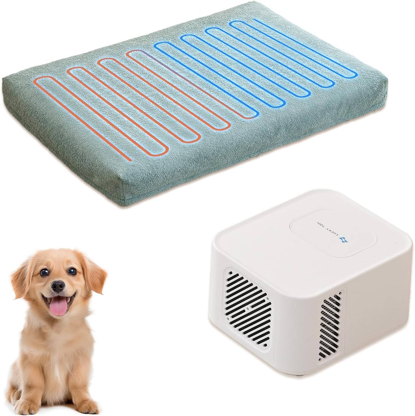 Pet Bed Cooling System, Consistent Warm and Cold Water Pad, No Electric Shock or Chemical Gel Needed, Machine Washable Bed, Ideal for Home and Crates (Cooling & Heating Green, 30" x 20")