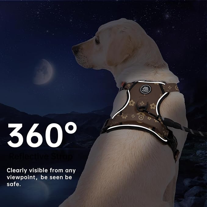 IVY&LANE No Pull Dog Harness with Leash Set, Reflective No Choke Pet Vest,Adjustable Oxford Dog Vest Harness with Easy Control Handle for Small Dogs (Dark Brown,S)