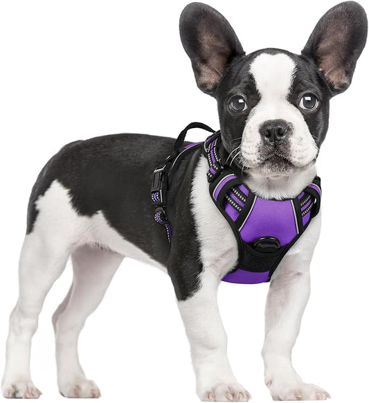 rabbitgoo Dog Harness No Pull with 2 Leash Clips, Adjustable Soft Padded, Reflective Oxford No Choke Pet Vest with Easy Control Handle for Small Dogs, Purple, S
