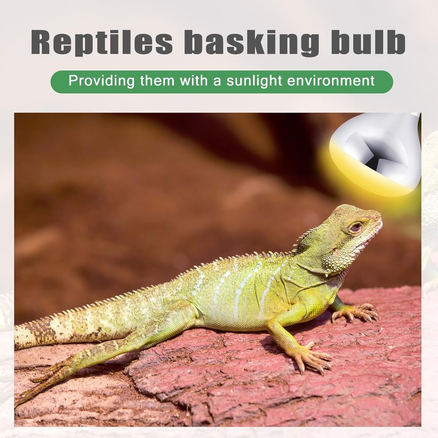 VIHOSE 10 Pack 250 Watt Heat Lamp 120v R40 Heat Lamp Bulbs Glass Incandescent Light Bulbs Incandescent Heating Lightbulbs for Reptiles Chicks Food Puppies Bathroom, Use E26 Base (Silver)