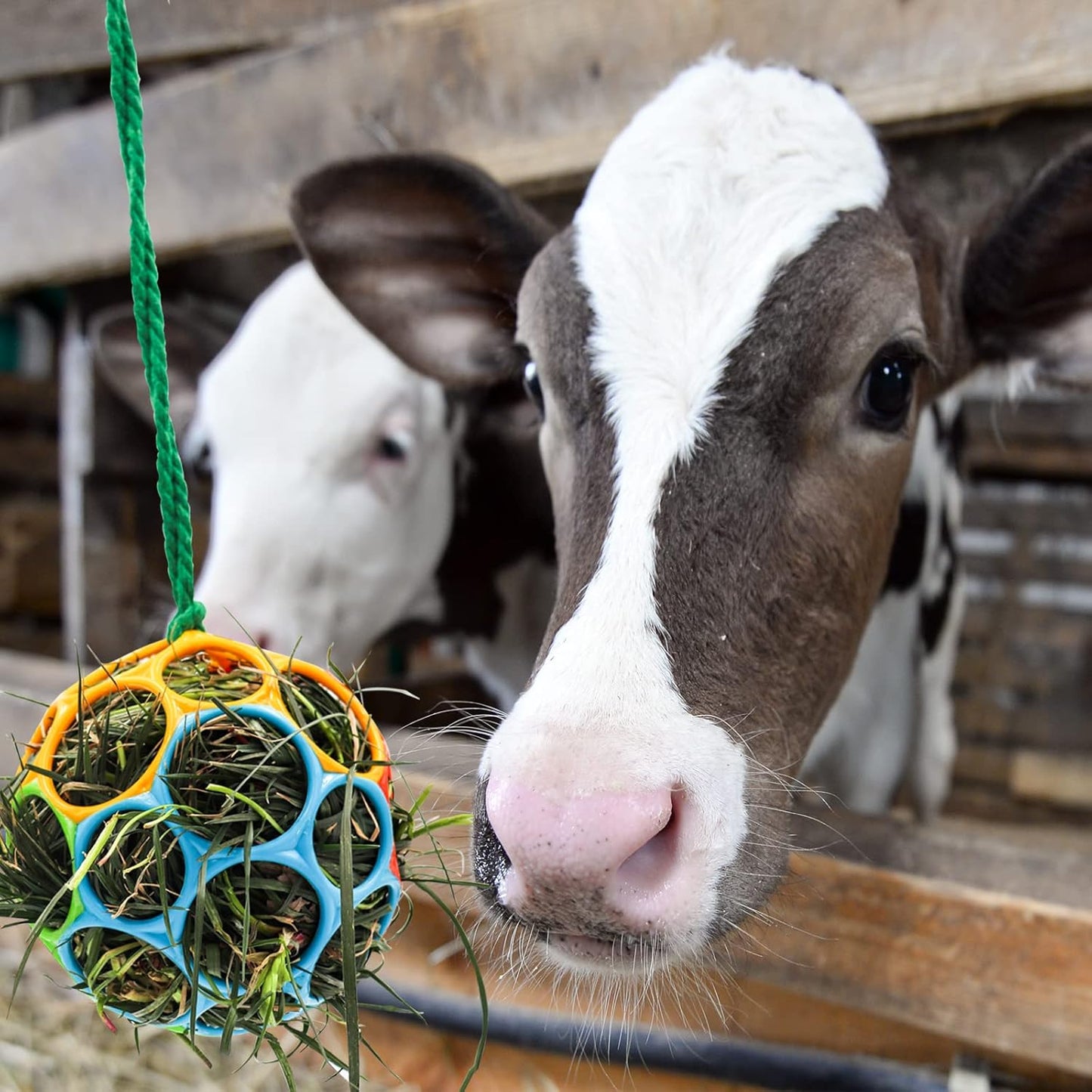 Besimple 2 Pack Horse Treat Ball Hay Feeder Toy, Goat Feeder Ball Hanging Feeding Toy for Horse Goat Sheep Relieve Stress (Colorful)