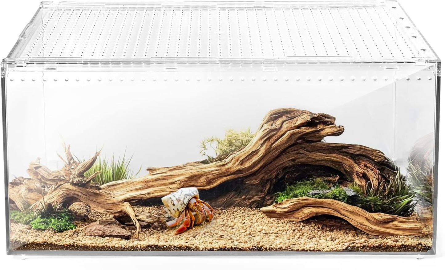 AZV Reptile Terrarium Tank,Versatile Enclosure for Leopard Crested Gecko,Lizard Cage,Spider Starter Kit,Hermit Crab Habitat,Tarantula Cribs,Perfect Aquarium for Snake,Frogs,Snails,Insects,Small Pets