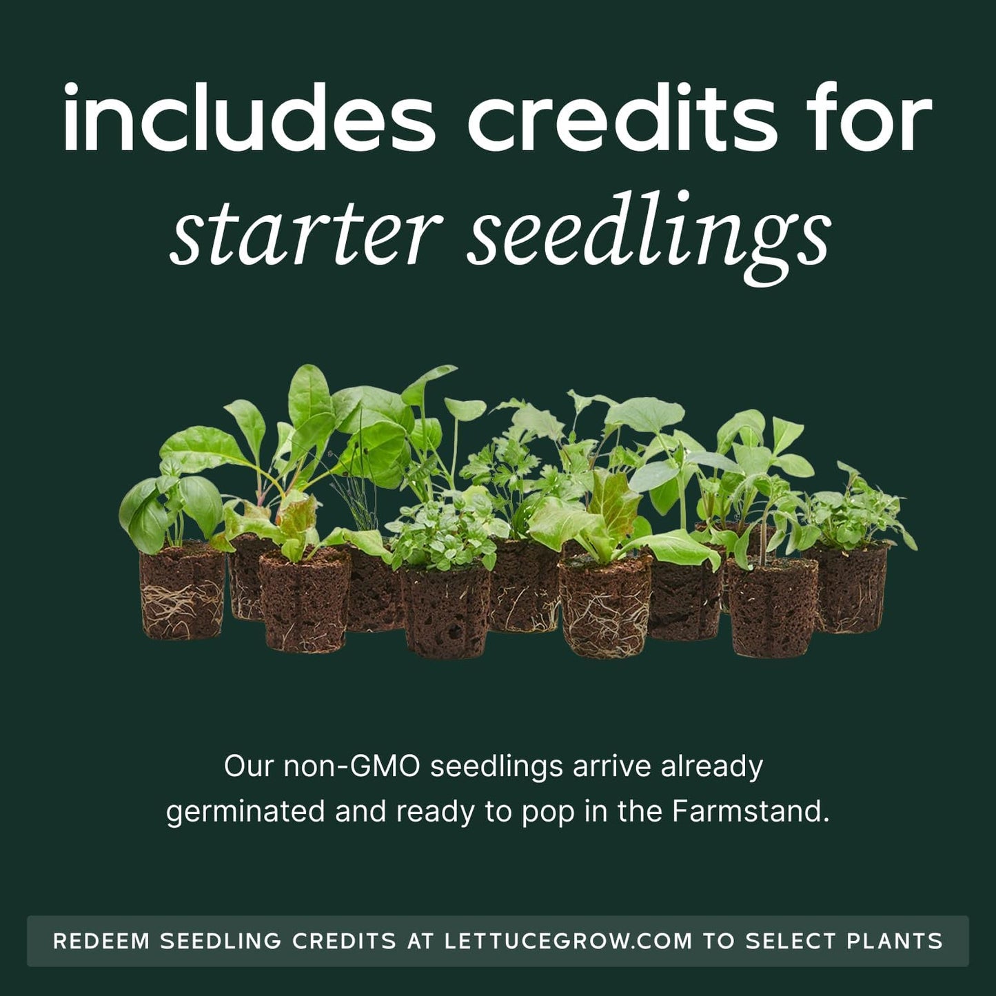 Farmstand Starter Kit + 12 Seedling Credits | Tiny Hydroponic Growing System Kit | Self-Watering Outdoor Vertical Garden Planter Tower | 3ft 8in | Made in USA