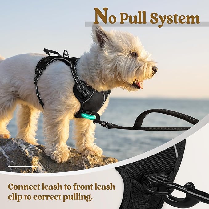 rabbitgoo Dog Harness No Pull with 2 Leash Clips, Adjustable Soft Padded, Reflective Oxford No Choke Pet Vest with Easy Control Handle for Puppy, Black, XS