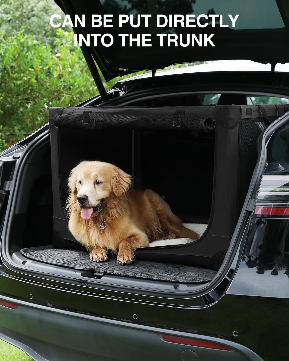 36-Inch Collapsible Travel Dog Crate, Portable 4-Door Soft Kennel for Medium to Large Dogs, Durable Mesh Windows, Indoor/Outdoor Use, Foldable, with Storage Bag (Black)