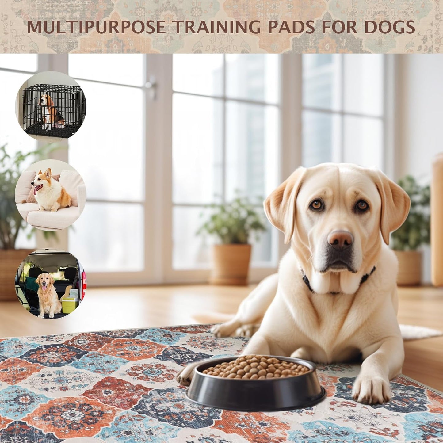 IEUUMLER Washable Pee Pads for Dogs, 2 Pack Reusable Non-Slip Grip, Super Absorbent Waterproof Puppy Pads for Potty Training, Playpen, Crate, Whelping Box EU011 (Orange, 36" x 36")