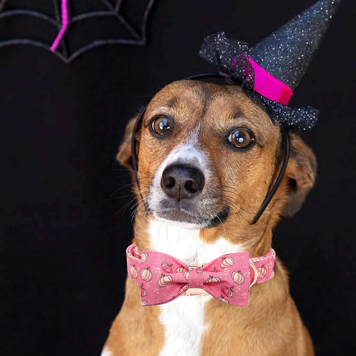 Elegant Little Tail Dog Collar with Bow, Adjustable Halloween Pumpkin Bowtie Collar for Small to Large Dogs