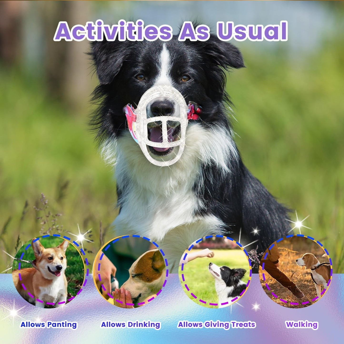 Basket Muzzle Allows Panting Drinking, Anti Biting Chewing, Suitable for Grooming Trimming Training, Transparent, Size 2