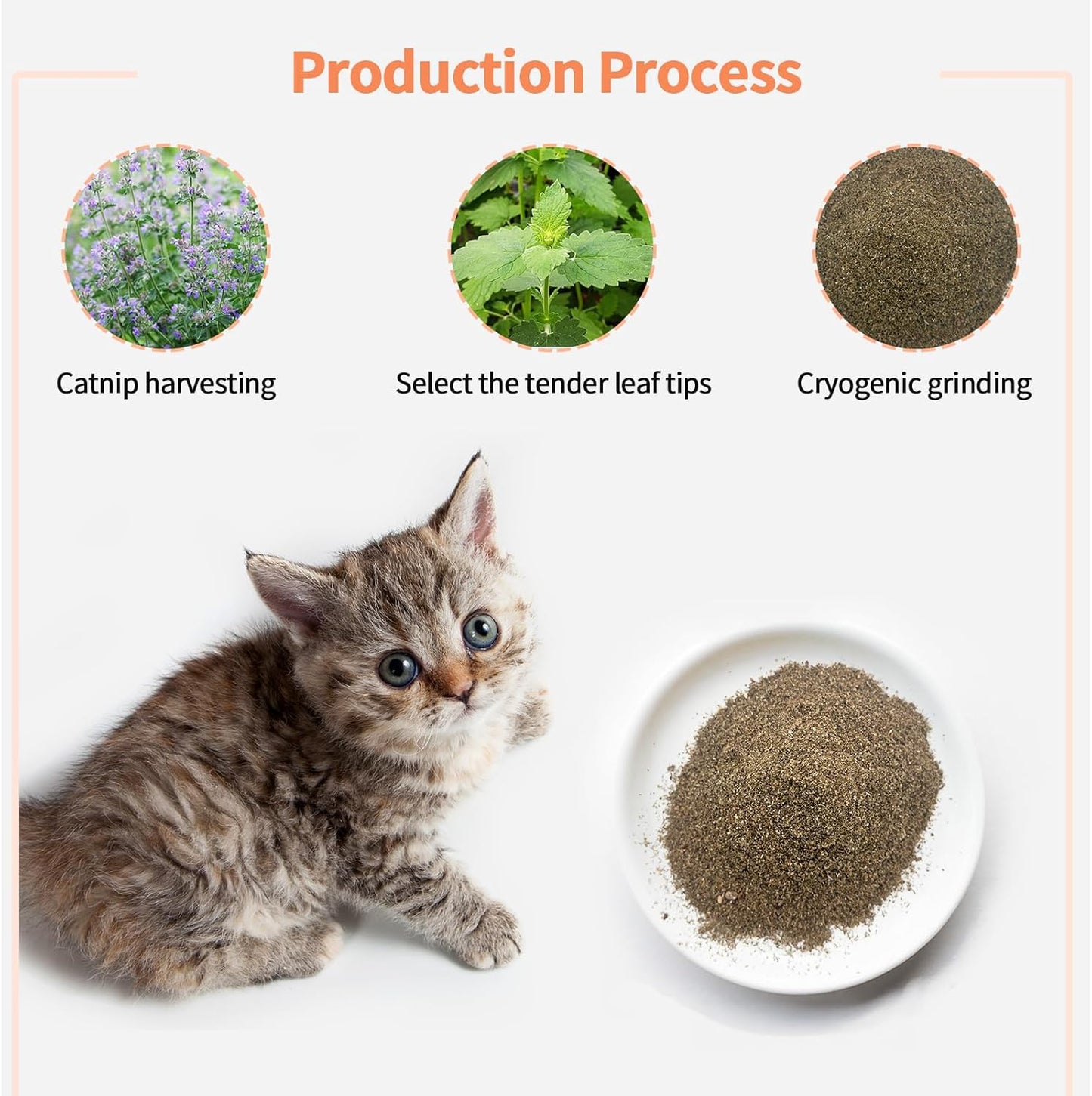 Premium Catnip for Cats & Kittens – Cold-Processed, High Potency Nepetalactone, 100% Pure Organic Leaf-Only Catnip for Toys, Scratchers, Refills, Stimulates Play & Protects Furniture - 25g