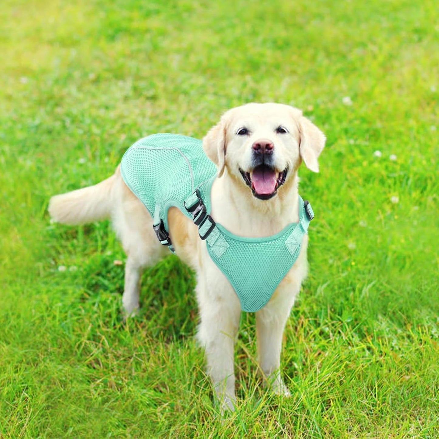 Kuoser Dog Cooling Vest Harness, Small Dog Cooler Jacket with Adjustable Buckle for Outdoor Beach, Hiking, Training Green S