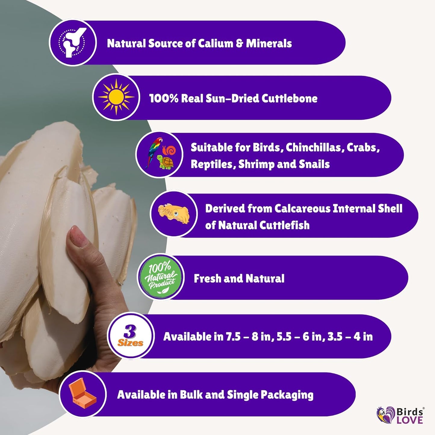 Birds LOVE Natural Cuttlebone | 100% Pure Sun-Dried Calcium Supplement for Birds, Tortoises, Snails & Crabs | Supports Beak & Shell Health | Easy to Chew | 3 Pack, Size 5.5 to 6"