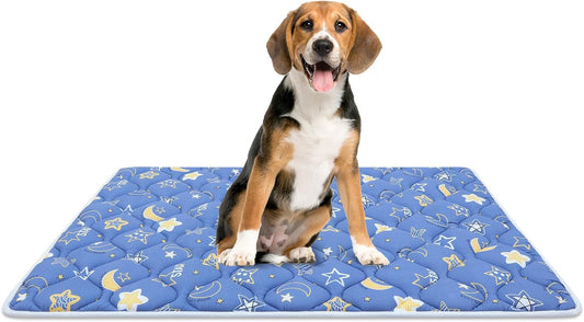 Bubble bear Dog Crate Mat - Ultra Soft, Washable & Anti-Slip Kennel Pad for Small/Medium/Large Dogs, Dark-Hued to Hide Stains (36"x23")