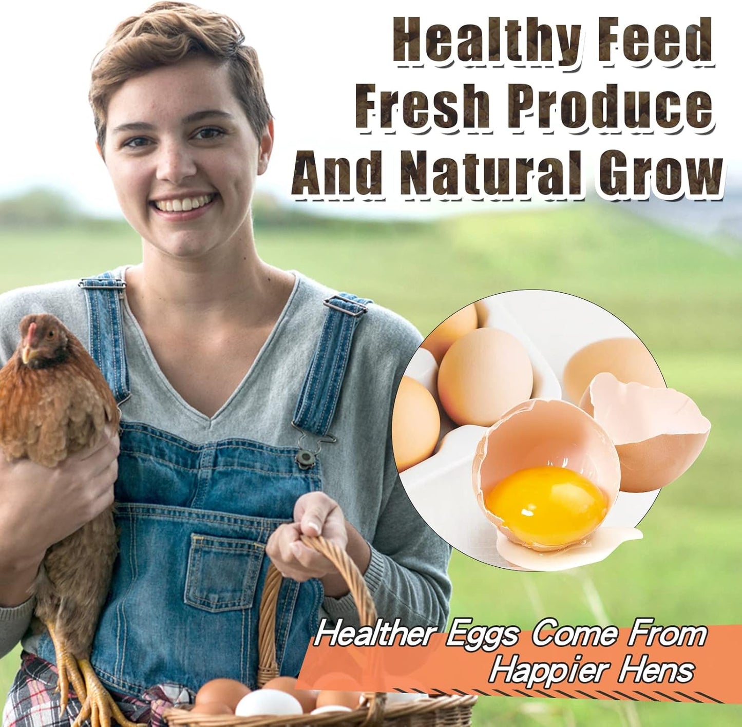 Dried Black Solidier Fly Larvae 11LBS, 85X More Calcium Than Mealworms High-Protein BSF Larvae Chicken Treats Non-GMO BSFL for Chickens, Hens, Ducks, Wild Birds