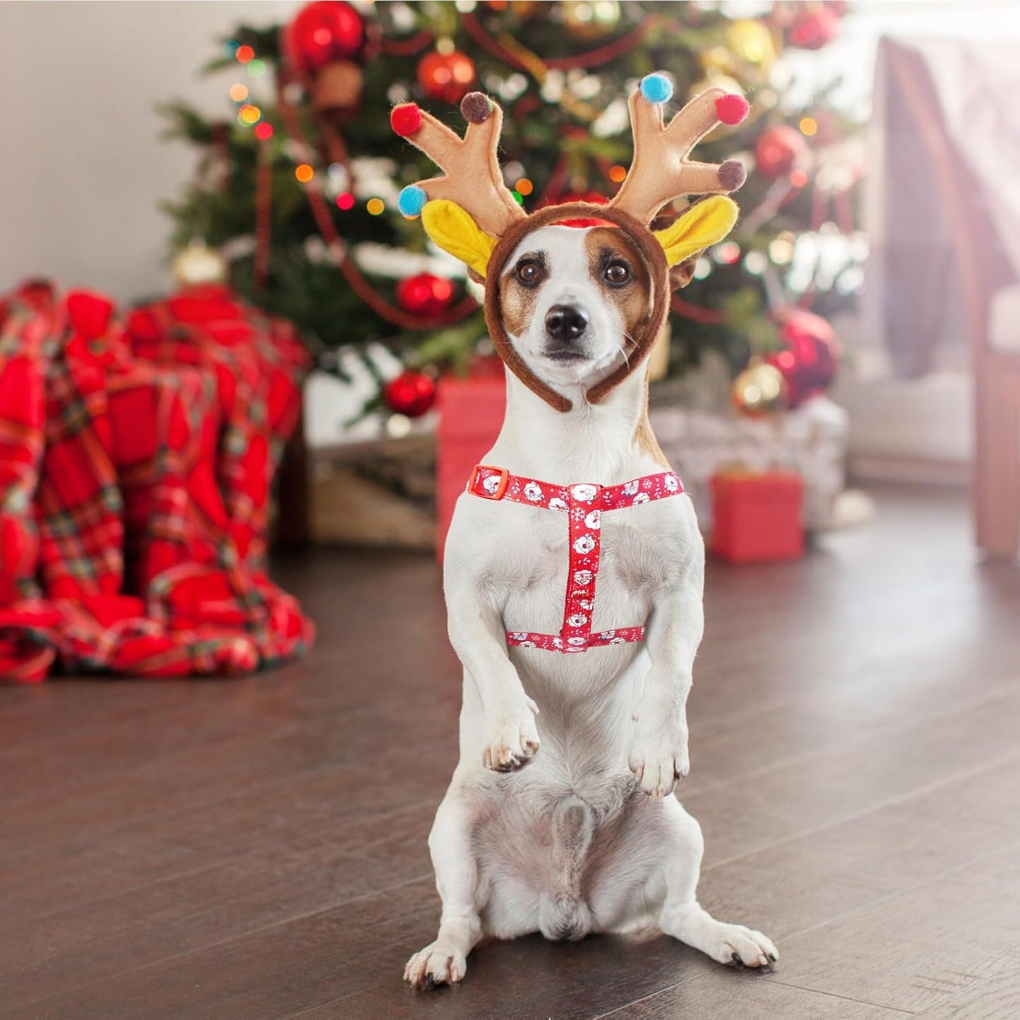 PUPTECK No Pull Dog Harness Soft Adjustable Basic Nylon Step in Puppy Vest Outdoor Walking with ID Tag, Christmas, S