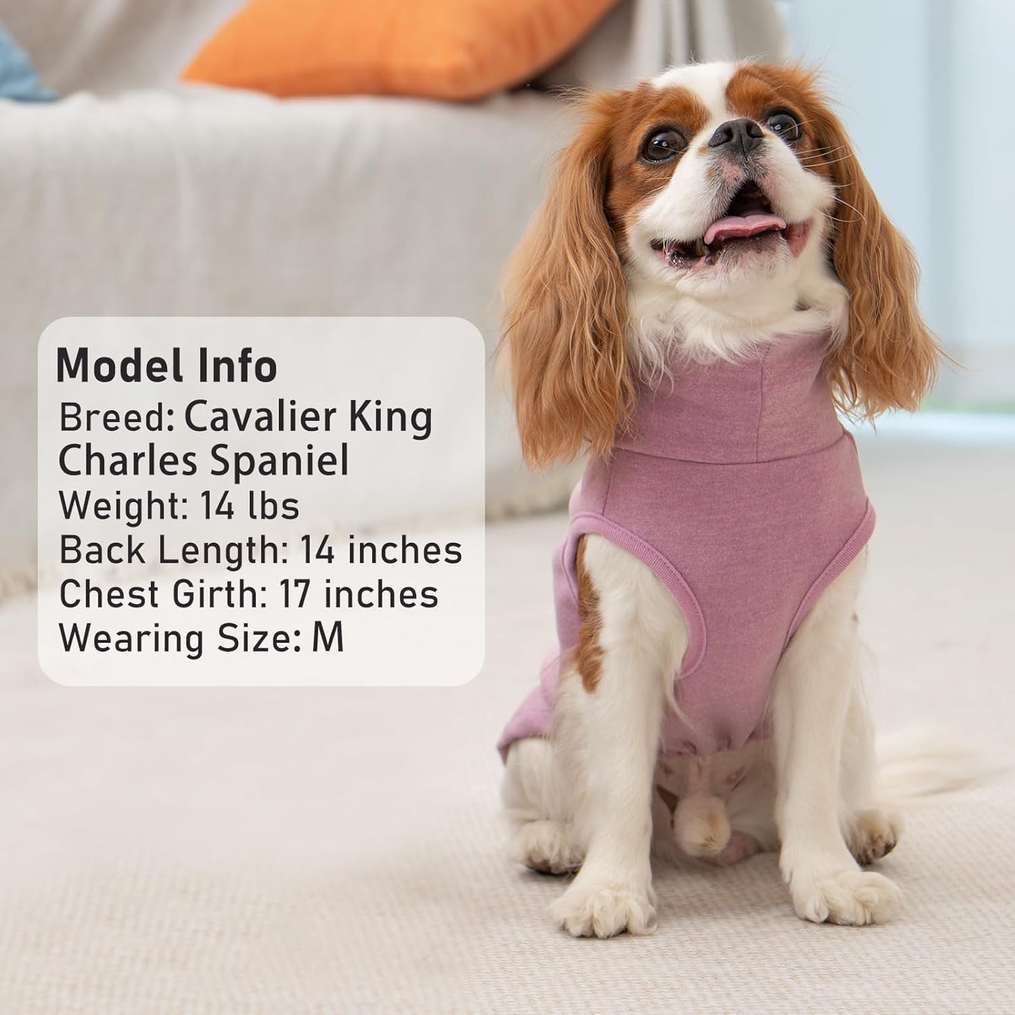 KYEESE 2Pack Dog Sweater Soft Dogs Clothes Warm Dachshund Clothes Turtleneck Pets Coats Dog Sweaters for Small Dogs Girl Pullover Small Pet Sweaters Stretchy Pet Sweatshirt