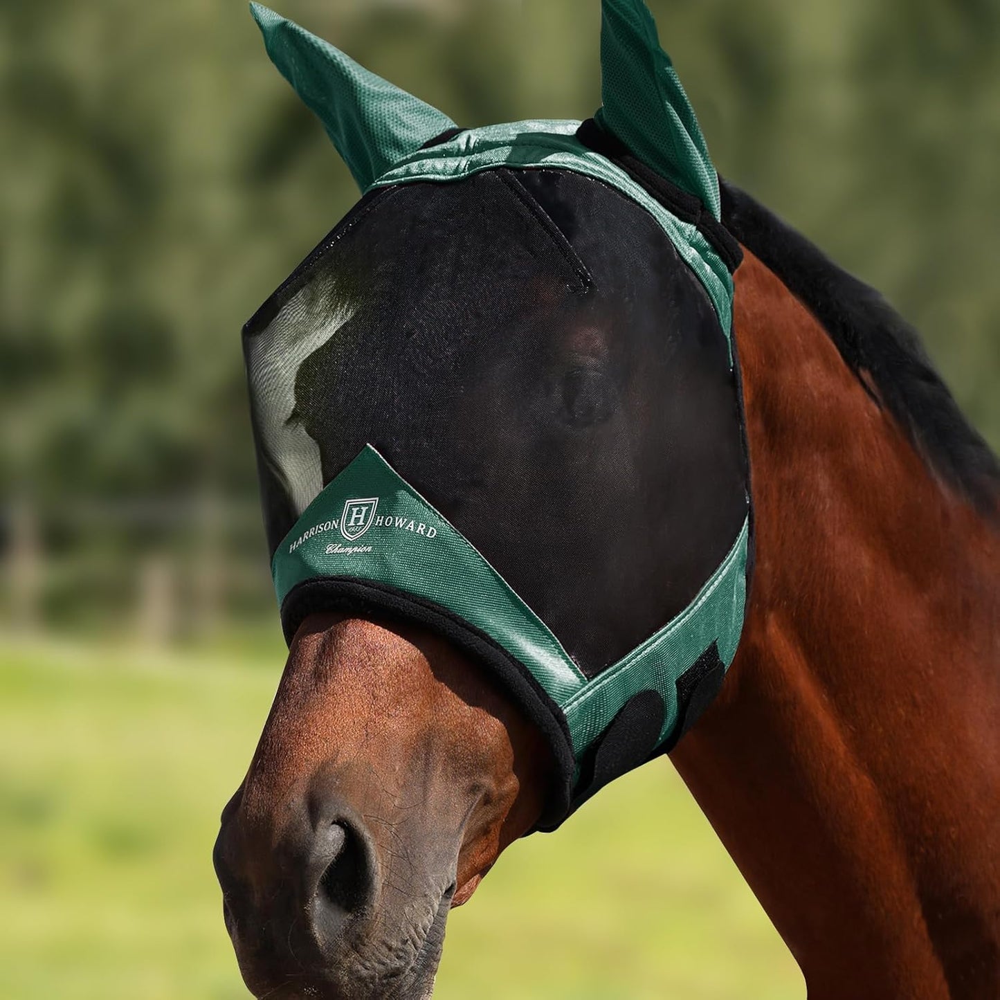 Harrison Howard Pro Luminous Horse Half Face Fly Mask Large Eye Space with Ears UV Protection for Horse Hunter Green S