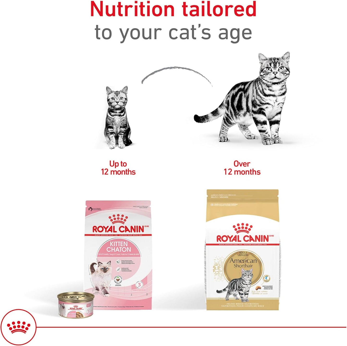 Royal Canin American Shorthair Breed Adult Dry Cat Food, 5.5 lb.