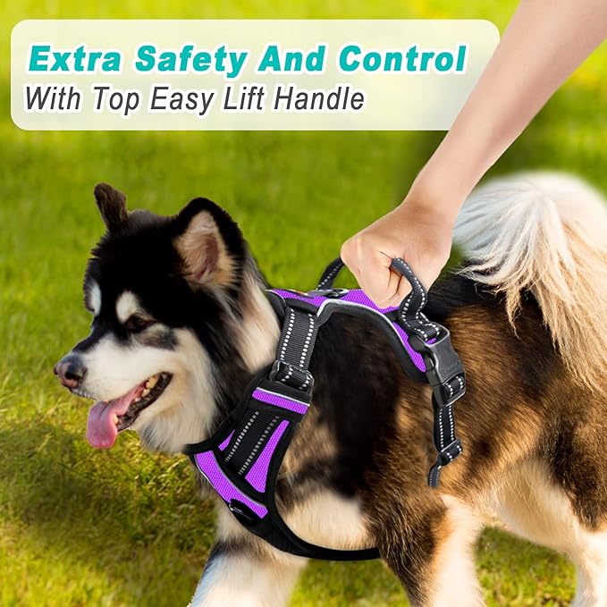 BARKBAY No Pull Dog Harness Large Step in Reflective Dog Harness with Front Clip and Easy Control Handle for Walking Training Running(Purple,XL)